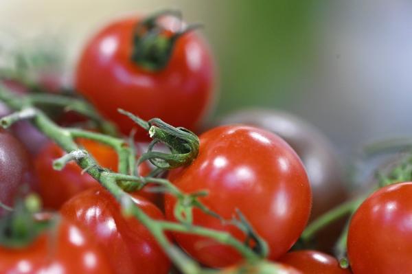 FSD NEWS: FEBRUARY 2026 ROUND-UP